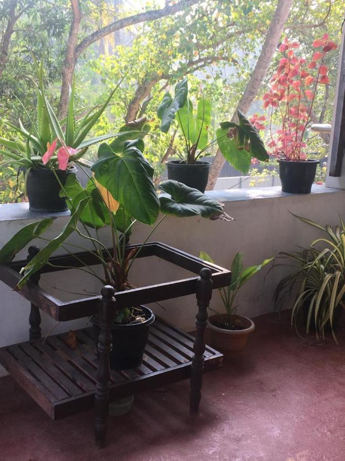 Marari Sibiya Beach Villa Mararikulam Kültér fotó