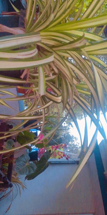 Marari Sibiya Beach Villa Mararikulam Kültér fotó